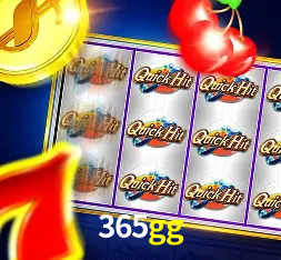 Interface Premium 365gg